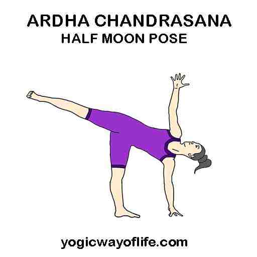 What does Half moon mean in yoga?