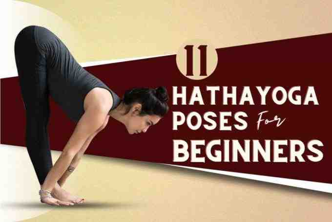 What is the difference between Vinyasa and Hatha Yoga?