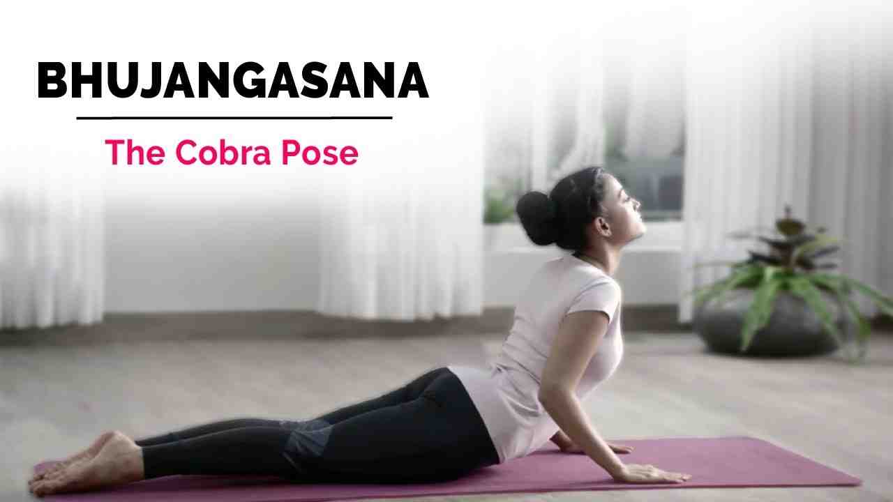 Does Cobra pose increase weight?