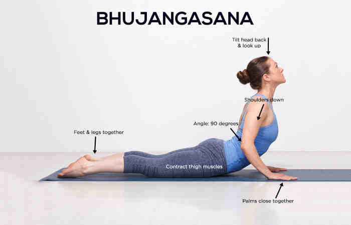 Is Bhujangasana cobra pose?