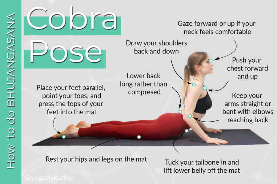 Is Cobra pose good for weight loss?