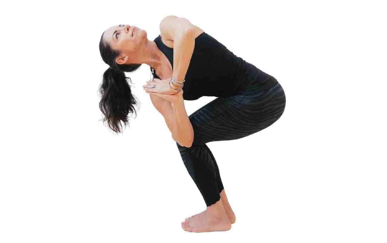 What are five types of asanas?