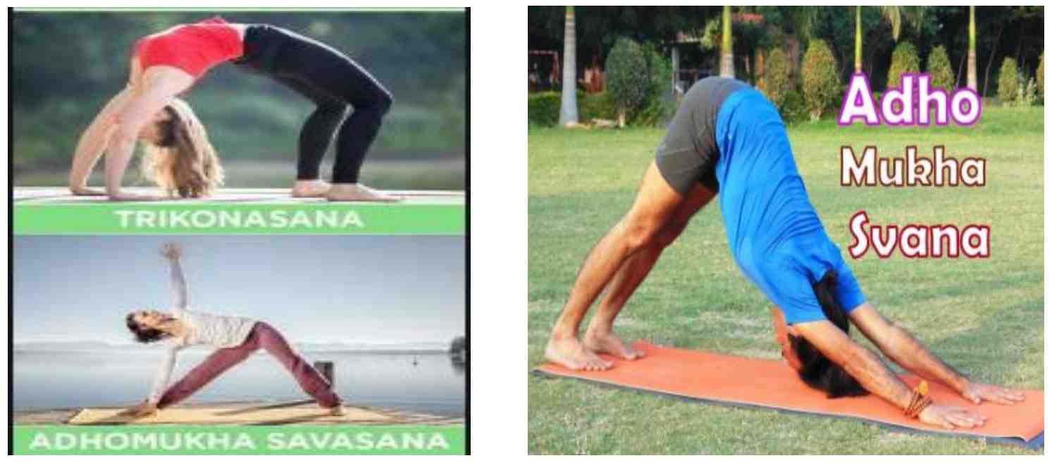 What are the three types of asanas?