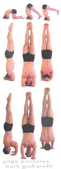 What is the position of Sirsasana?