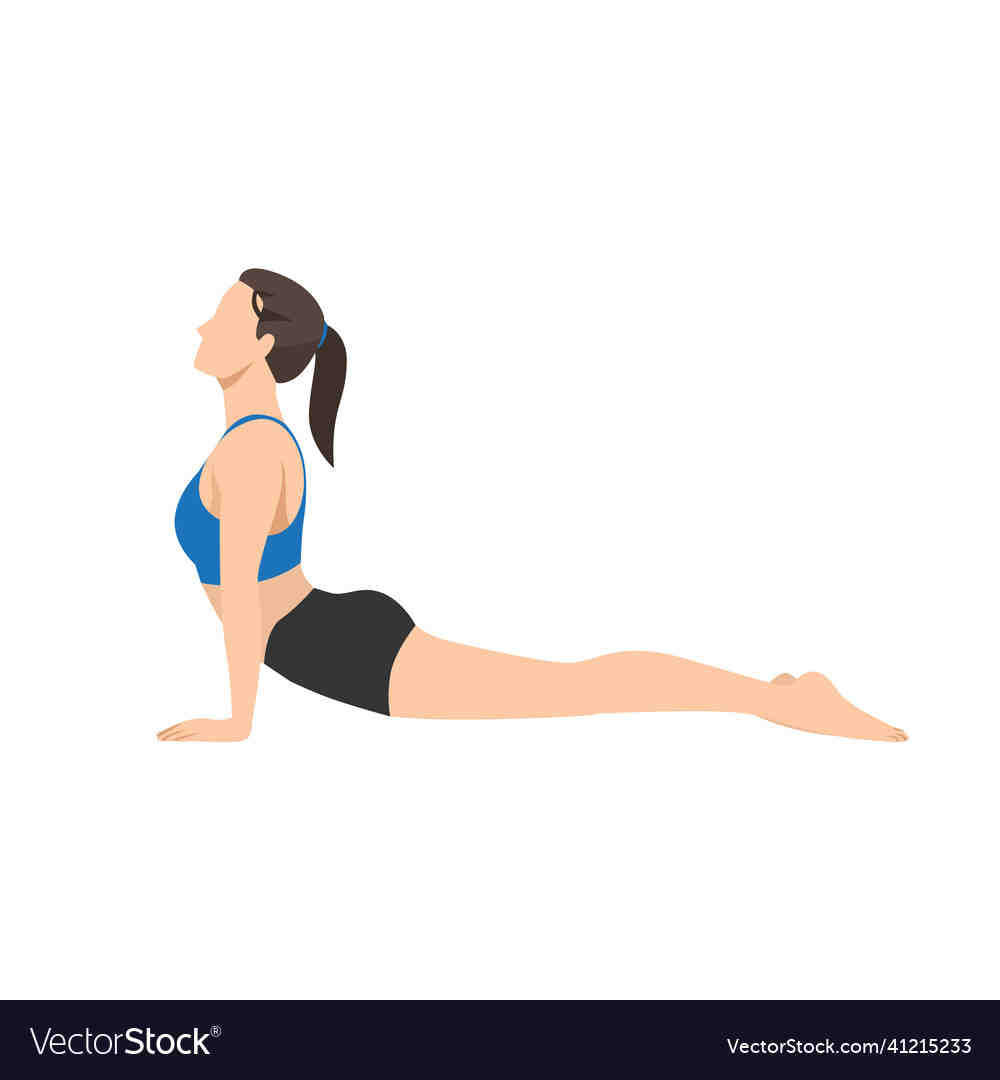 What is the upward dog position?