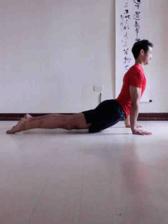 What muscles does the upward dog work?