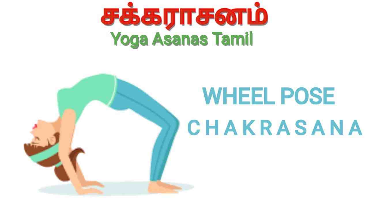 Which of the following is Dhanurasana?